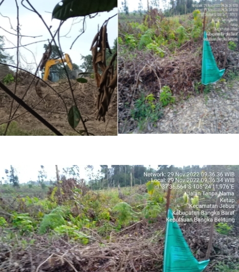 Soal Perusakan Hutan Lindung Air Merah, Panji : Hasil permintaan keterangan dari para pihak, sudah dilaporkan ke DLHK&nbsp;Babel.